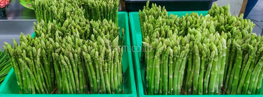 หน่อไม้ฝรั่ง (Asparagus)
