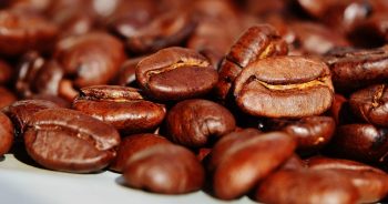 เมล็ดกาแฟ (Coffee Bean)