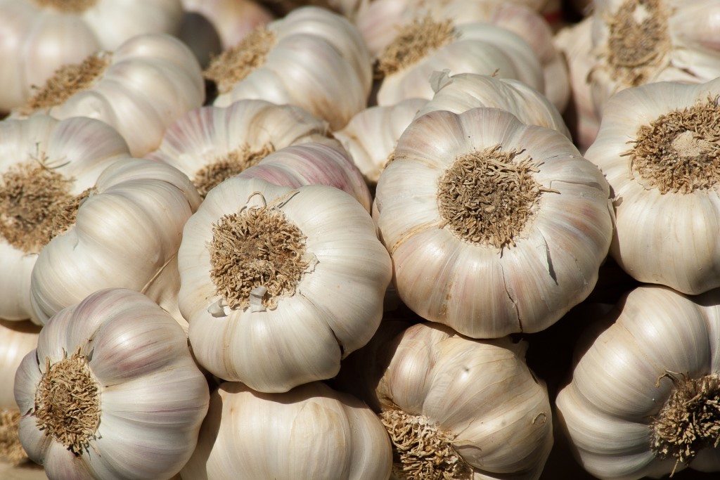 กระเทียม (Garlic)