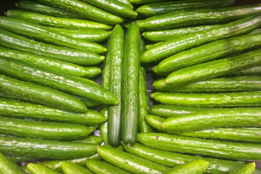 แตงกวาญี่ปุ่น (Japanese Cucumber)