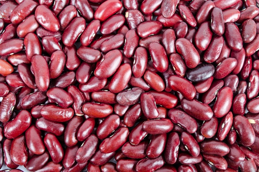 ถั่วแดง (Kidney Bean)