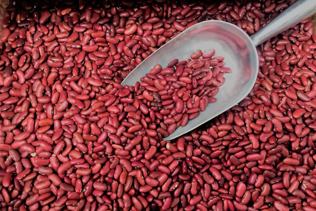 ถั่วแดง (Kidney Bean)