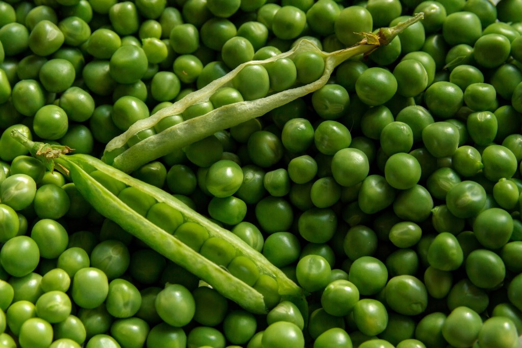 ถั่วลันเตา (Peas)