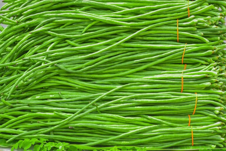 ถั่วฝักยาว (Yardlong Bean)